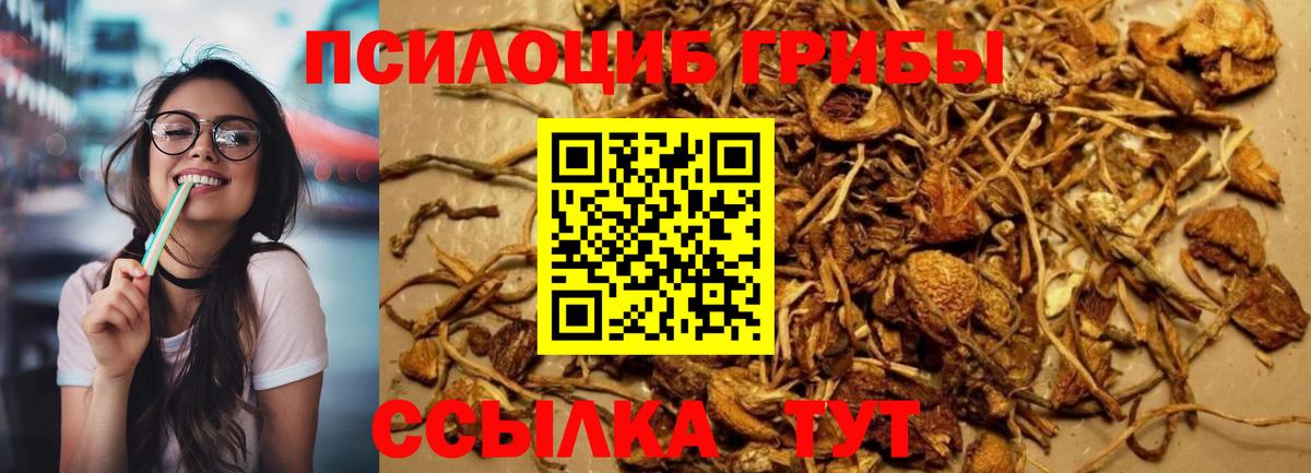 Галлюциногенные грибы GOLDEN TEACHER Ликино-Дулёво