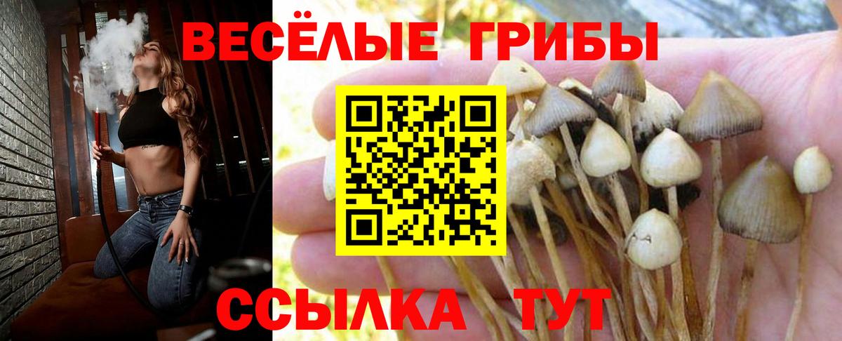 Ликино-Дулёво  Псилоцибиновые грибы Cubensis  Вход с VPN 